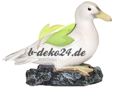 Möwe auf Felsen (AF-0146)