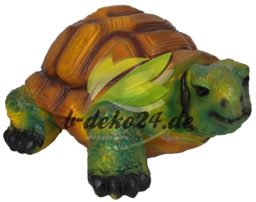 Schildkröte (AF-0711)