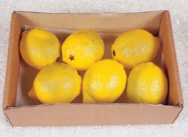 Box mit 6 Zitronen (AF-0363)