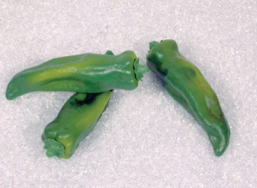 3 grüne Peperoni (AF-0403)