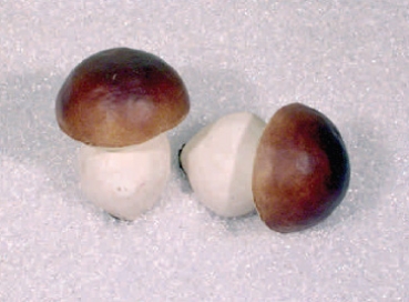 2 Pilze, Größe G (AF-0412)
