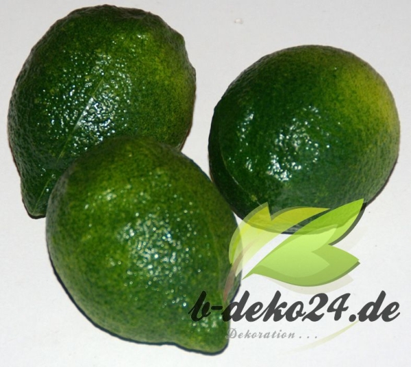 3 Limetten (AF-0329/01049)