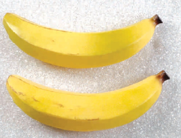 2 Riesenbananen (AF-0333)