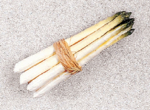 Bund mit 8 Spargel, weiß (AF-0383)